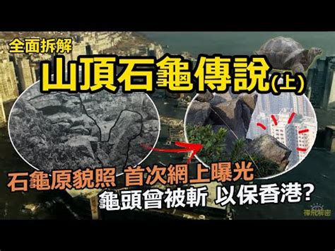 石龜風水|2024石龜風水趨勢